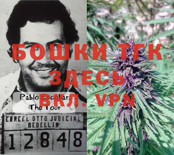 трава Арсеньев
