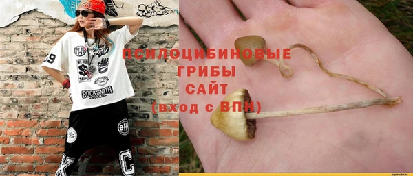 трава Арсеньев
