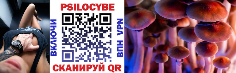 Псилоцибиновые грибы Psilocybine cubensis  где продают   mega ссылка  Свирск 