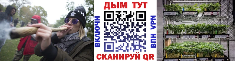 Шишки марихуана VHQ  как найти закладки  Свирск 